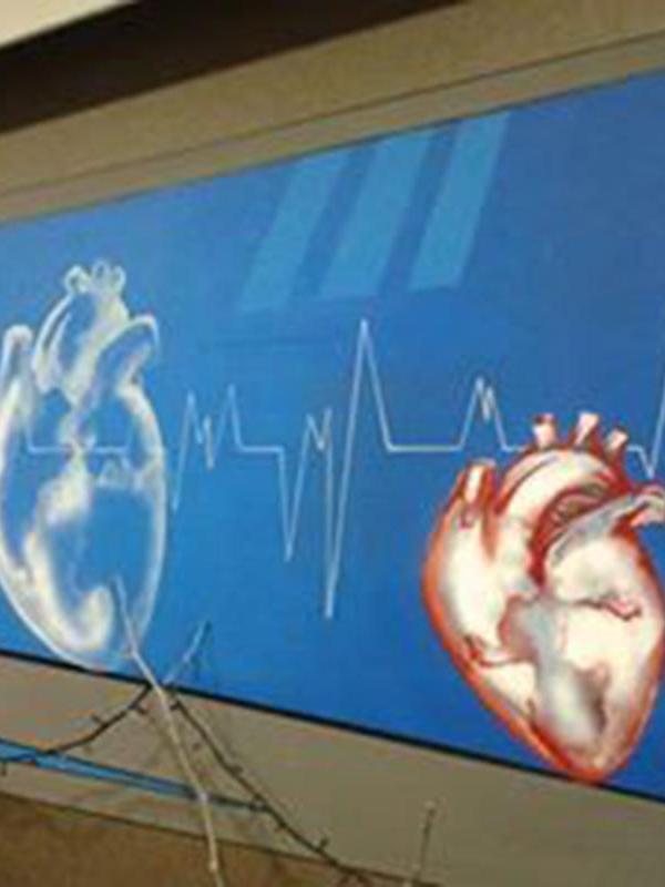 heart